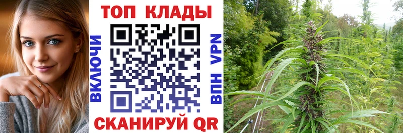Хочу наркоту Ковылкино Гашиш  Бошки Шишки  А ПВП  Меф мяу мяу 