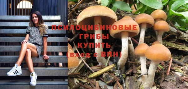 не бодяженный Новодвинск