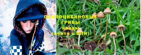 не бодяженный Новодвинск