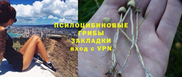 не бодяженный Новодвинск