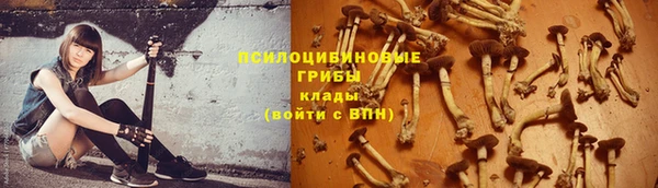 не бодяженный Новодвинск